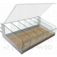 Стеклянная полка с перегородками и крышкой
