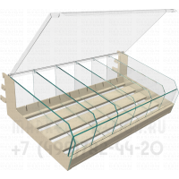 Полка с прозрачной крышкой и перегородками с возможностью регулировки