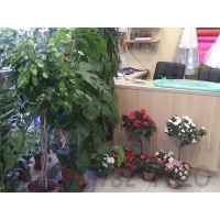 Стол флориста для магазина цветов